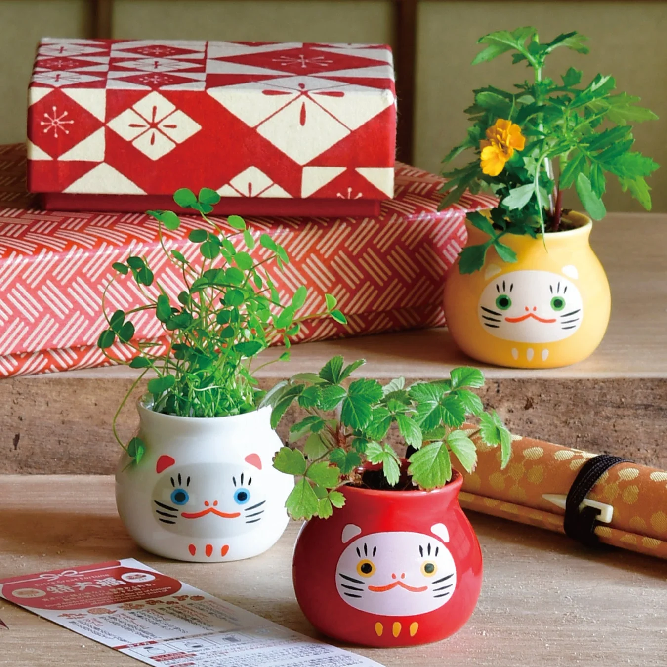 招き猫だるま3色とクローバー