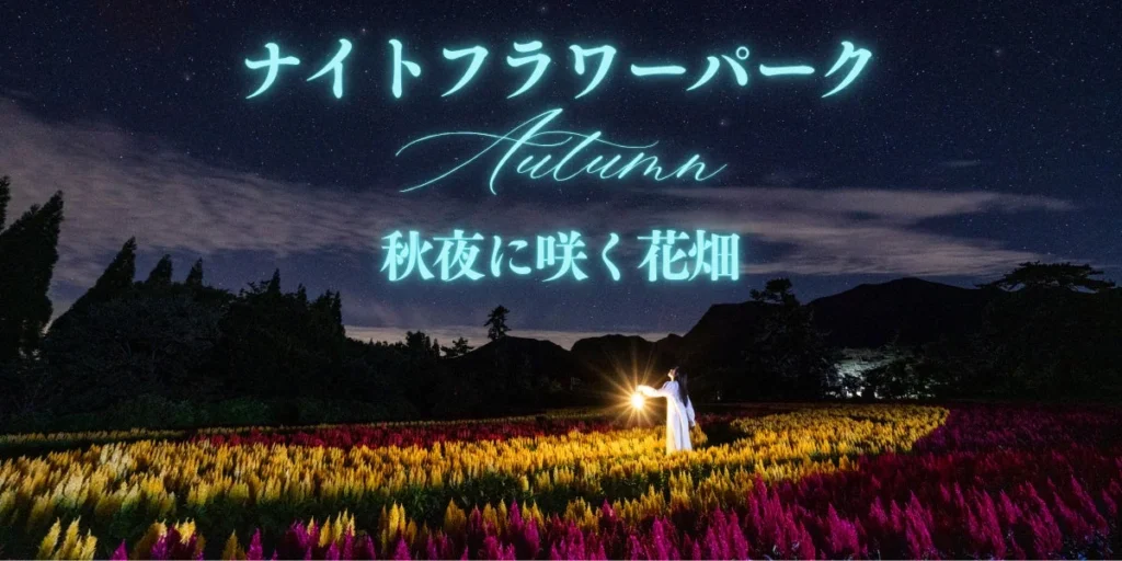 【大分・久住高原】秋の夜空と満天の星が彩る「ナイトフラワーパークAutumn ~秋夜に咲く花畑~」が10月限定5日間で開催