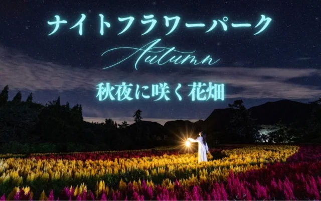 【大分・久住高原】秋の夜空と満天の星が彩る「ナイトフラワーパークAutumn ～秋夜に咲く花畑～」が10月限定5日間で開催