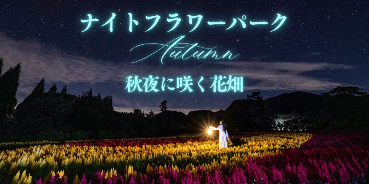 ナイトフラワーパークAutumn 秋夜に咲く花畑