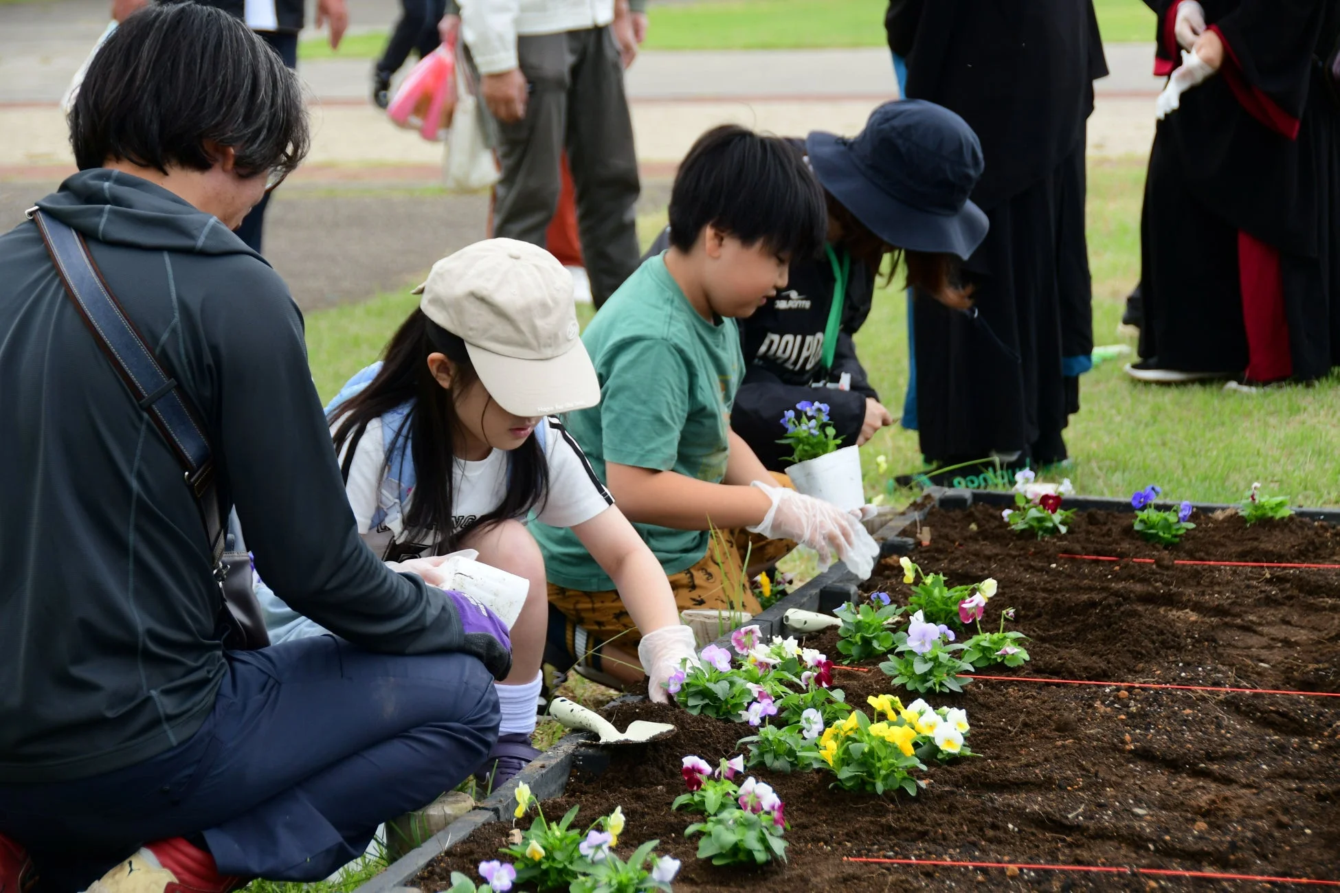 花の植え付け