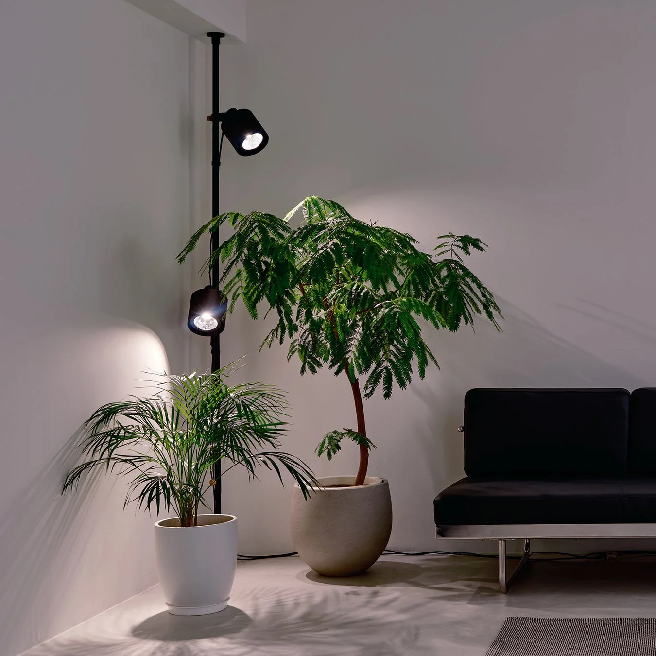 白い壁の部屋の一角に、2つの観葉植物とモダンなフロアランプが配置
