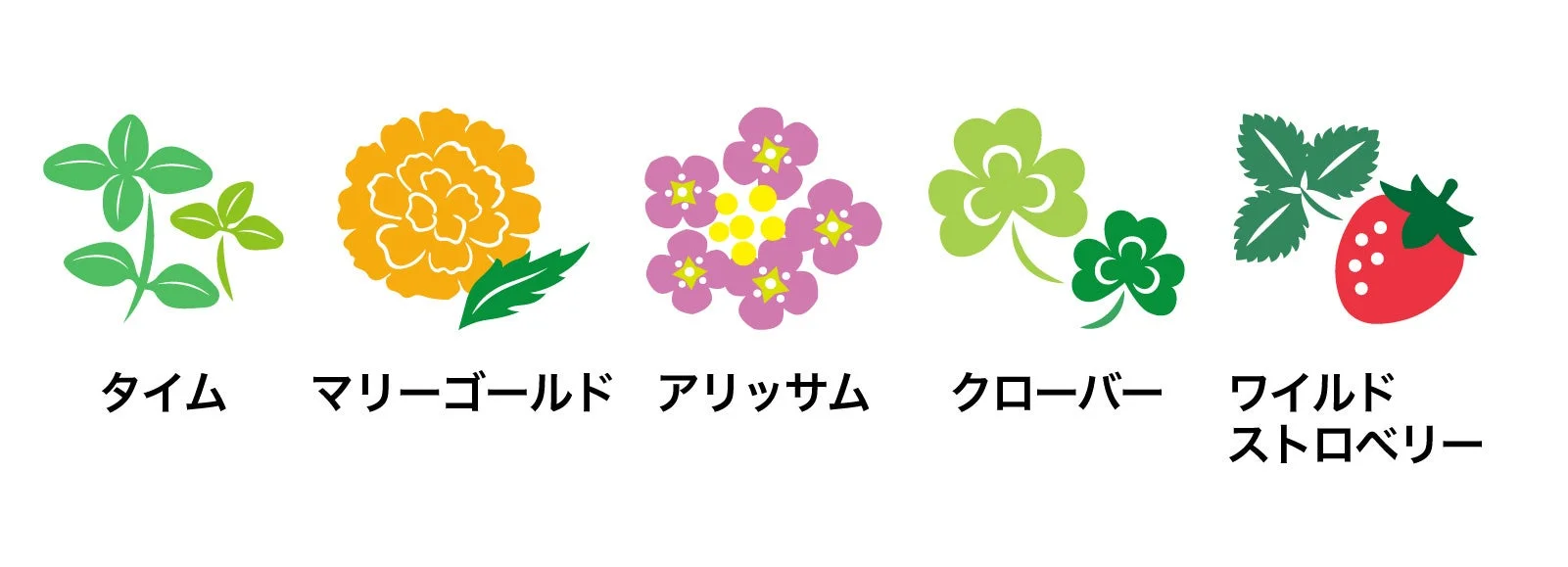 5種類の植物アイコン