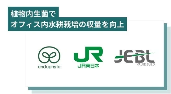 植物内生菌水耕栽培プロジェクト