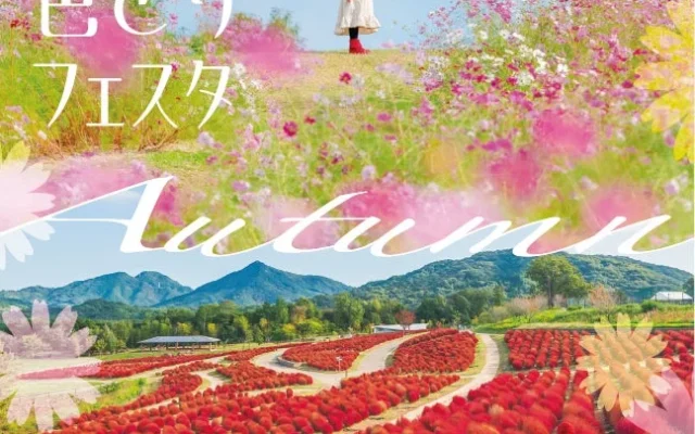 国営讃岐まんのう公園「秋！色どりフェスタ2026」開催！コキアとコスモスが彩る秋の絶景