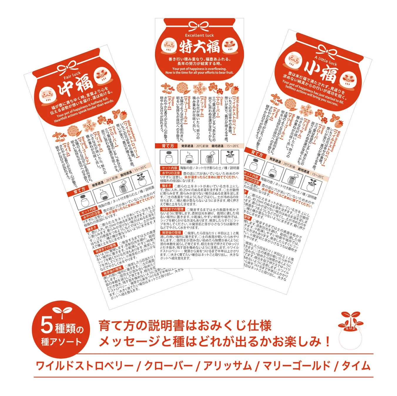 おみくじと種、栽培方法の概要がまとまっている画像