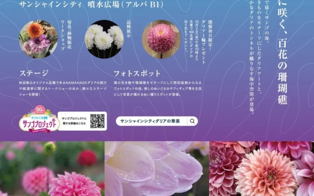 サンシャインシティで「ダリアの華展 2026」開催！サンゴプロジェクト20周年をダリアで祝う