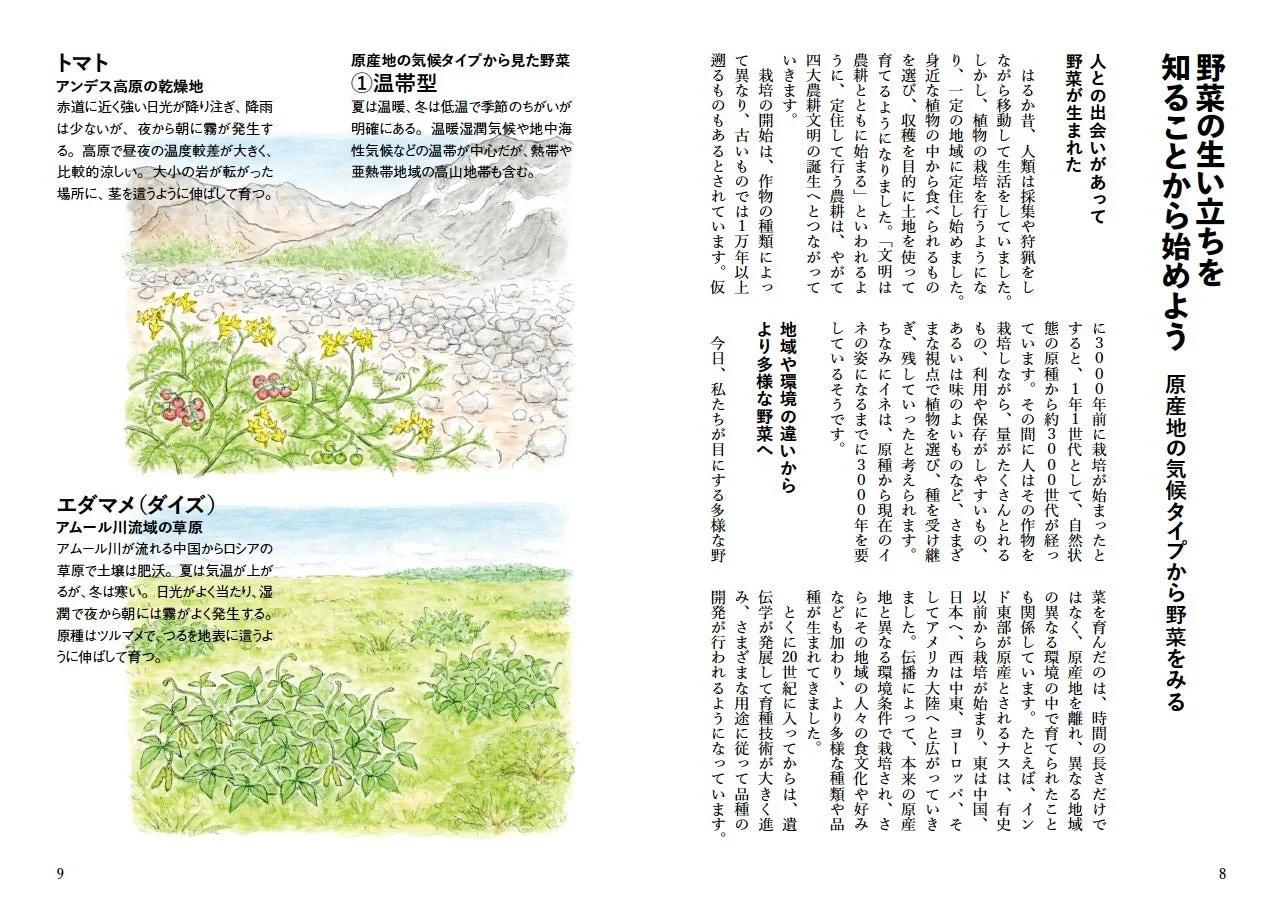 野菜の生い立ちと環境