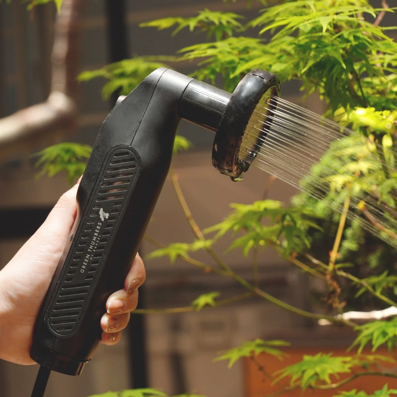 植物に水を与える様子