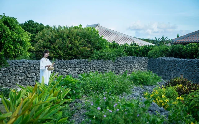 冬の竹富島で心身を整える「命草ゆくい滞在」が開催決定