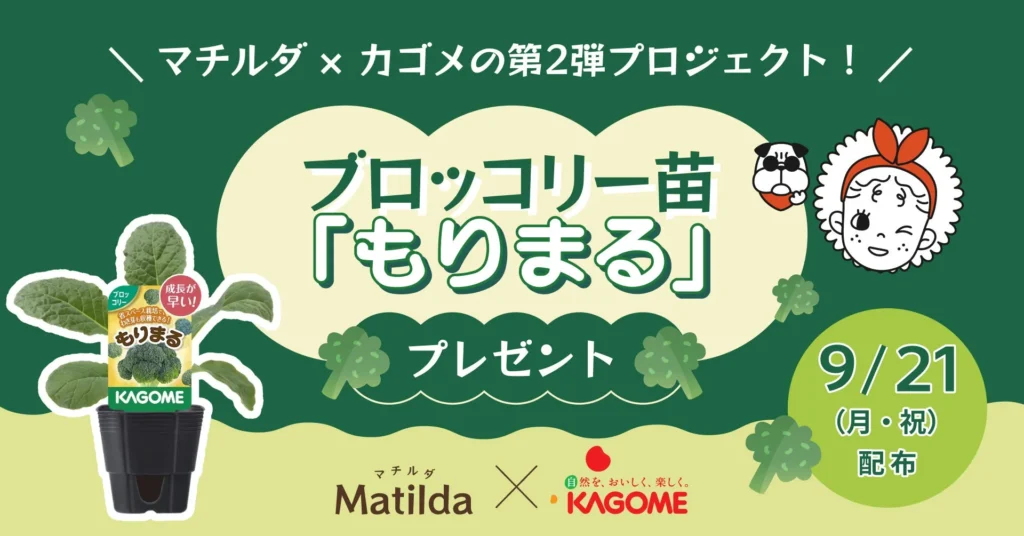 マチルダとカゴメが家庭でブロッコリーを育てる「もりまる」苗をプレゼント！食育を促す第2弾プロジェクト