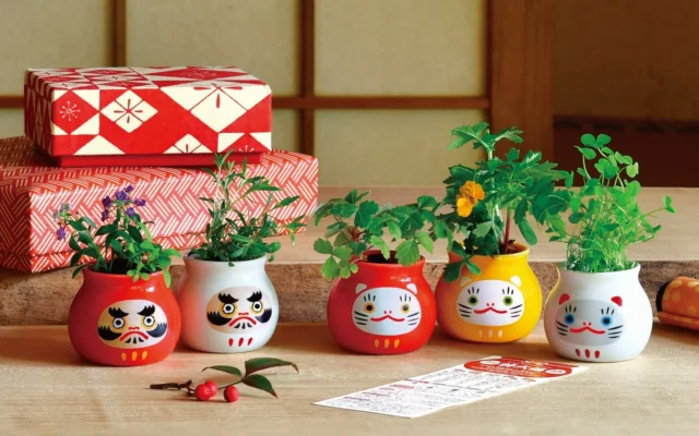 縁起物モチーフのおみくじ付き栽培キット「福壺だるま」「福壺猫だるま」が2026年9月14日に登場