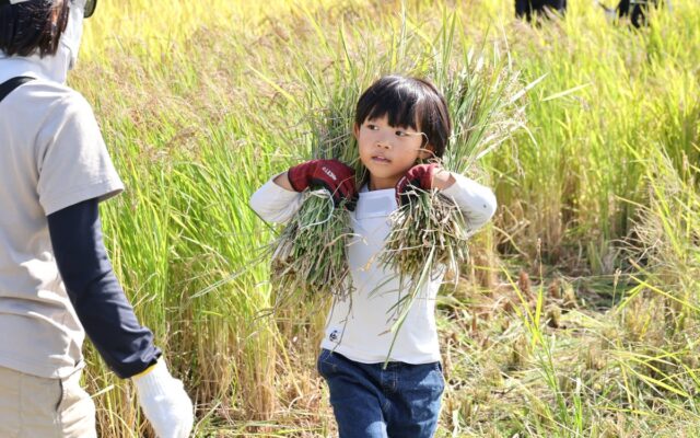 【イベントレポート②】「第43回全国都市緑化フェアin京都丹波」｜京都丹波を舞台に、食や環境、国際交流、ニュースポーツなど五感で学び味わい、心豊かになる参加型イベントを開催