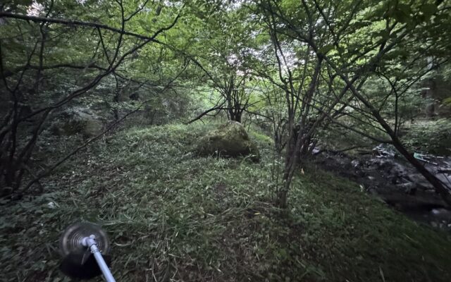 「沢のある土地が欲しい。その前に、現地で確かめる。」沢バンク、山梨県北杜市で秋の無料見学会を開催