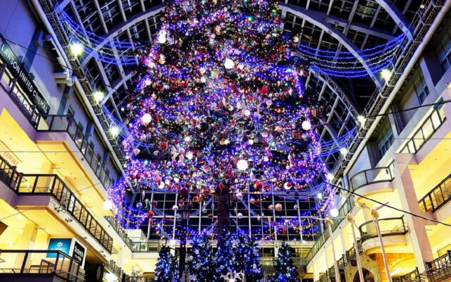 「サッポロ クリスマスファクトリー ジャンボクリスマスツリー点灯式2026」開催！高さ約15mの巨大ツリーが、幻想的な光に包まれる特別な夜