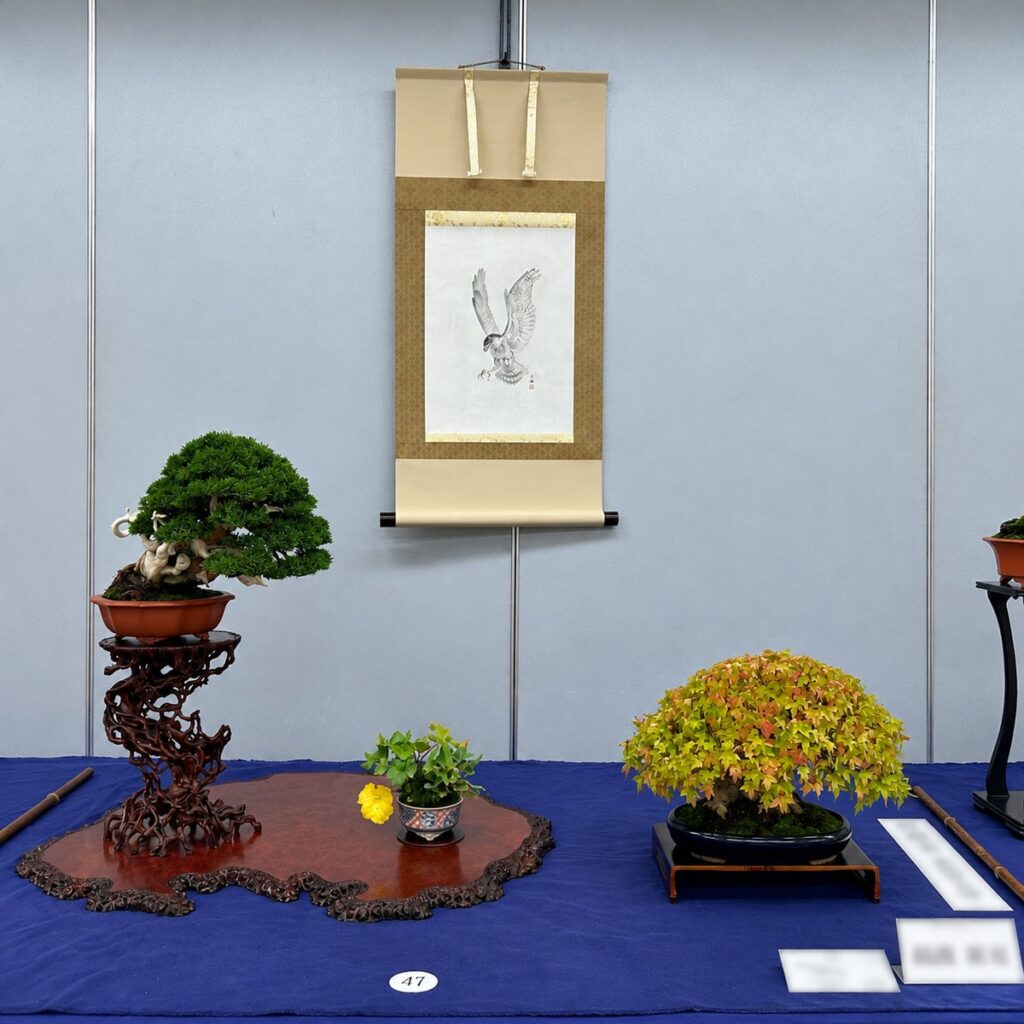 関東最大の小品盆栽展「第34回秋雅展」東京・上野で開催！紅葉や実ものが彩る小さな盆栽の世界