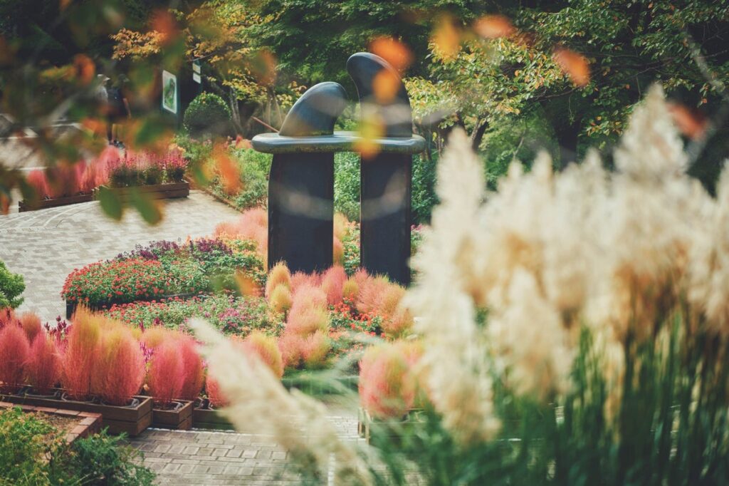 “コキアのある風景”は人気のフォトスポット!神戸布引ハーブ園のコキアが見ごろです。赤一色に染まるガーデンのコキア、神戸の街並みに溶け込むコキア、秋の花々と一緒に咲き集うコキア、3つの風景が楽しめます。
