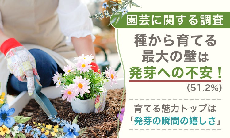 【園芸に関する調査】種から育てる最大の壁は「発芽への不安(51.2%)」!育てる魅力トップは「発芽の瞬間の嬉しさ」